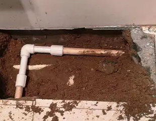 三亚测漏水哪家好