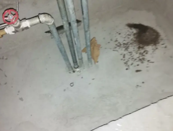 三亚卫生间测漏水价格明细